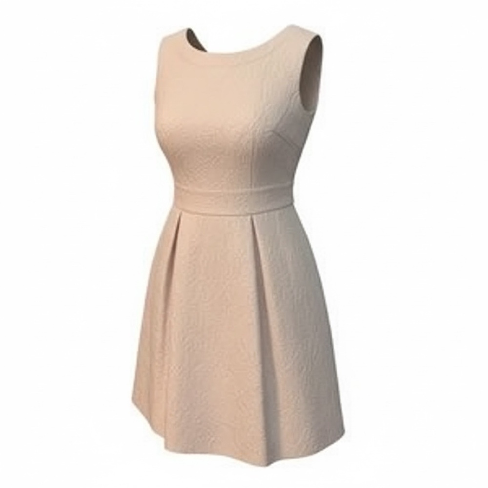 Jax White Sleeveless Lined Embroidered Fit & Flare A-Line Cocktail Dress Sz. 4